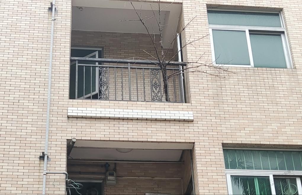 帖子图片
